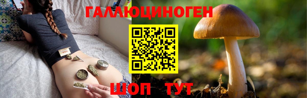 Галлюциногенные грибы мицелий  Галлюциногенные грибы Psilocybine cubensis  Вход с VPN  Светлоград 