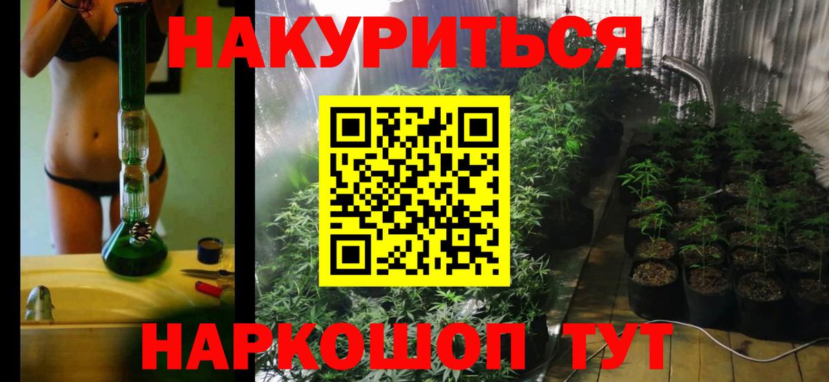 Конопля Ganja Светлоград